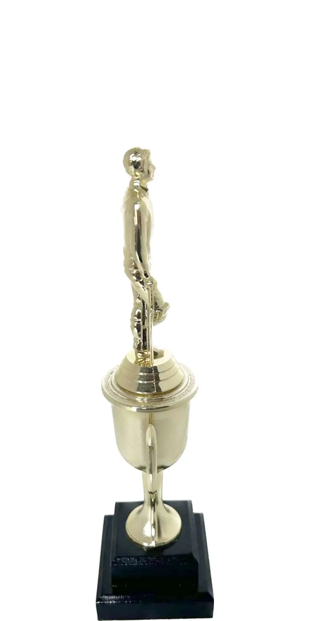 Cricket Batsman Standing Trophy 280mm
