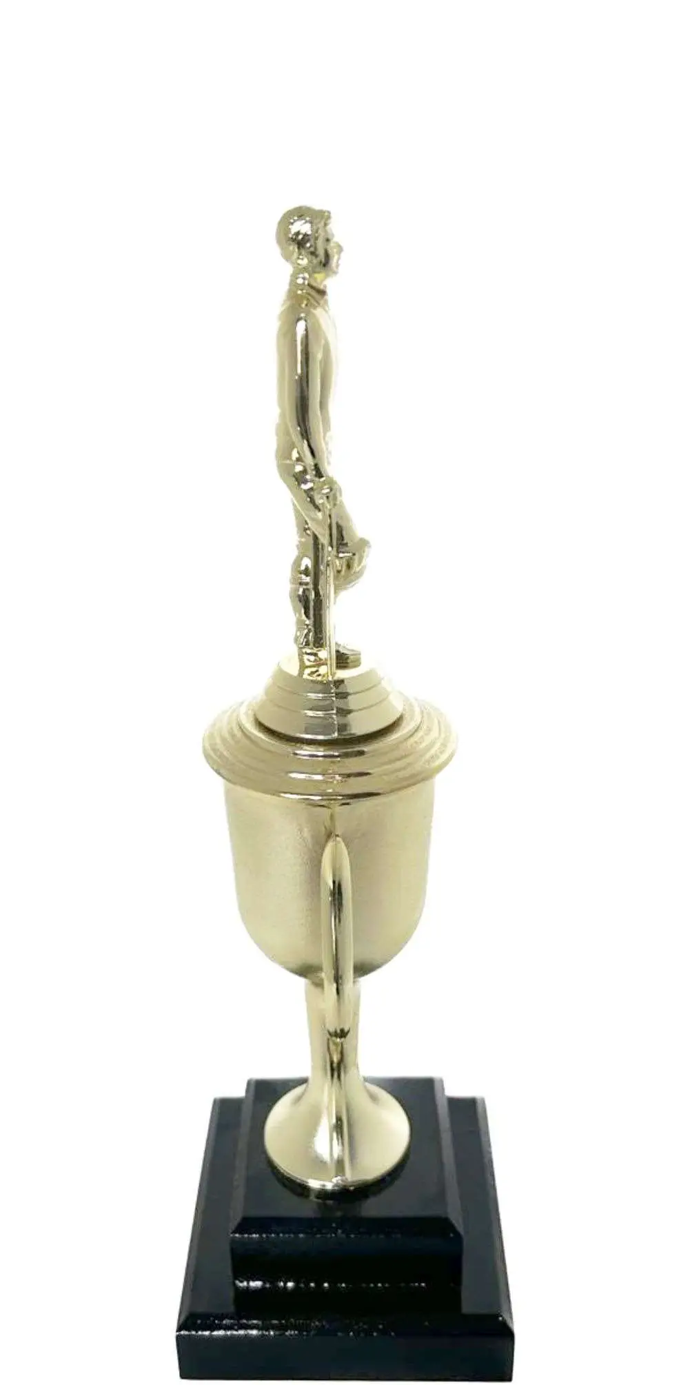 Cricket Batsman Standing Trophy 310mm