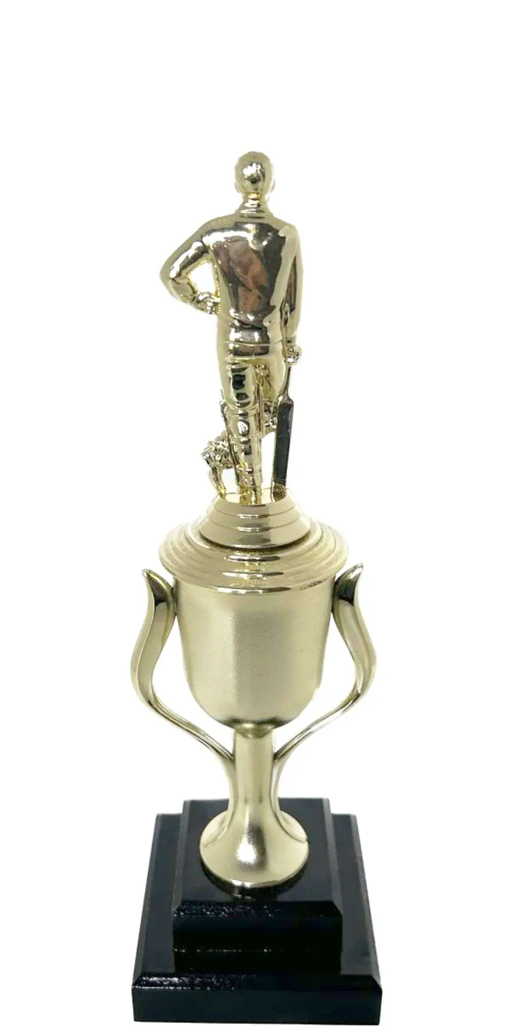 Cricket Batsman Standing Trophy 310mm