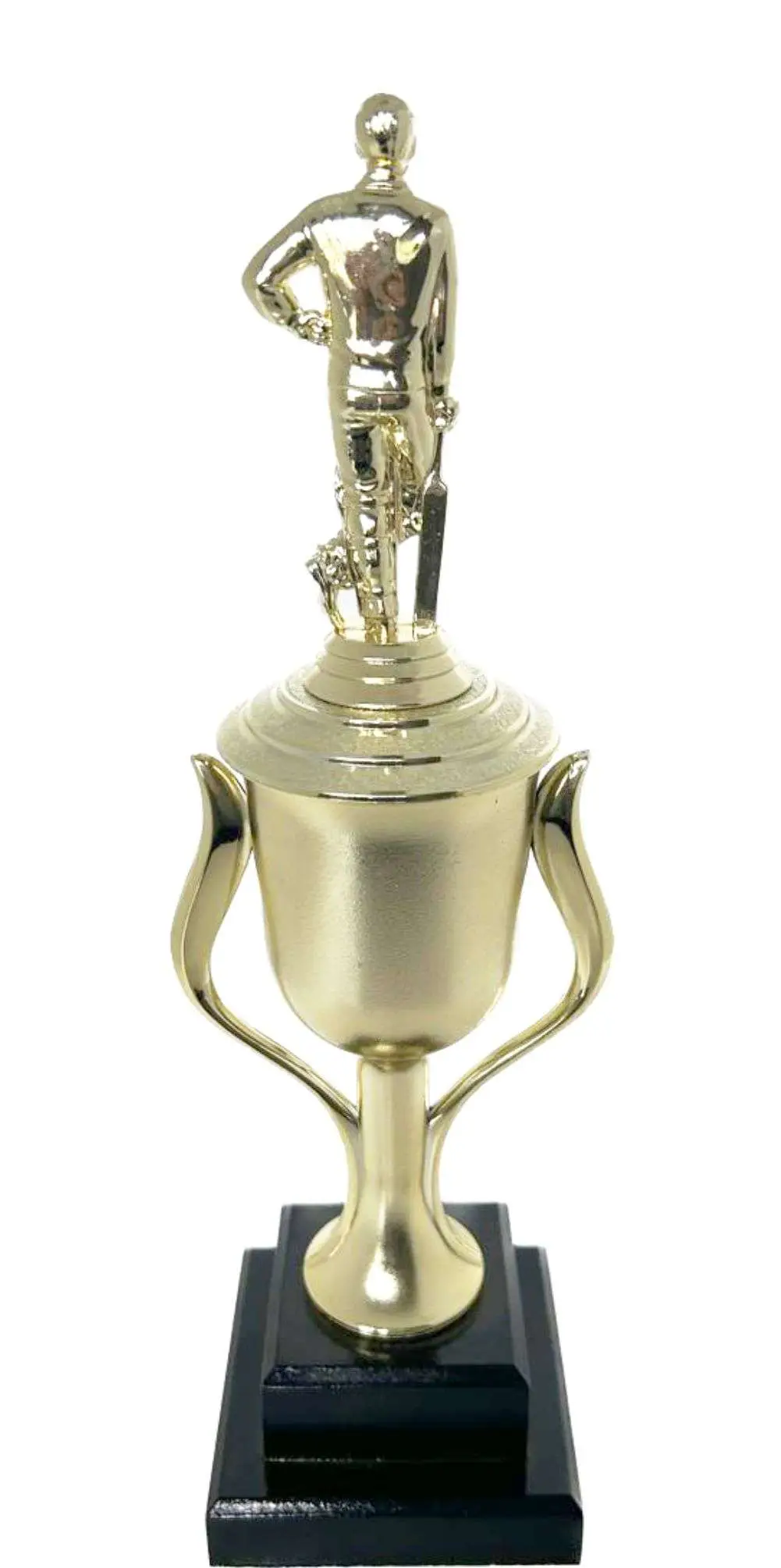 Cricket Batsman Standing Trophy 350mm