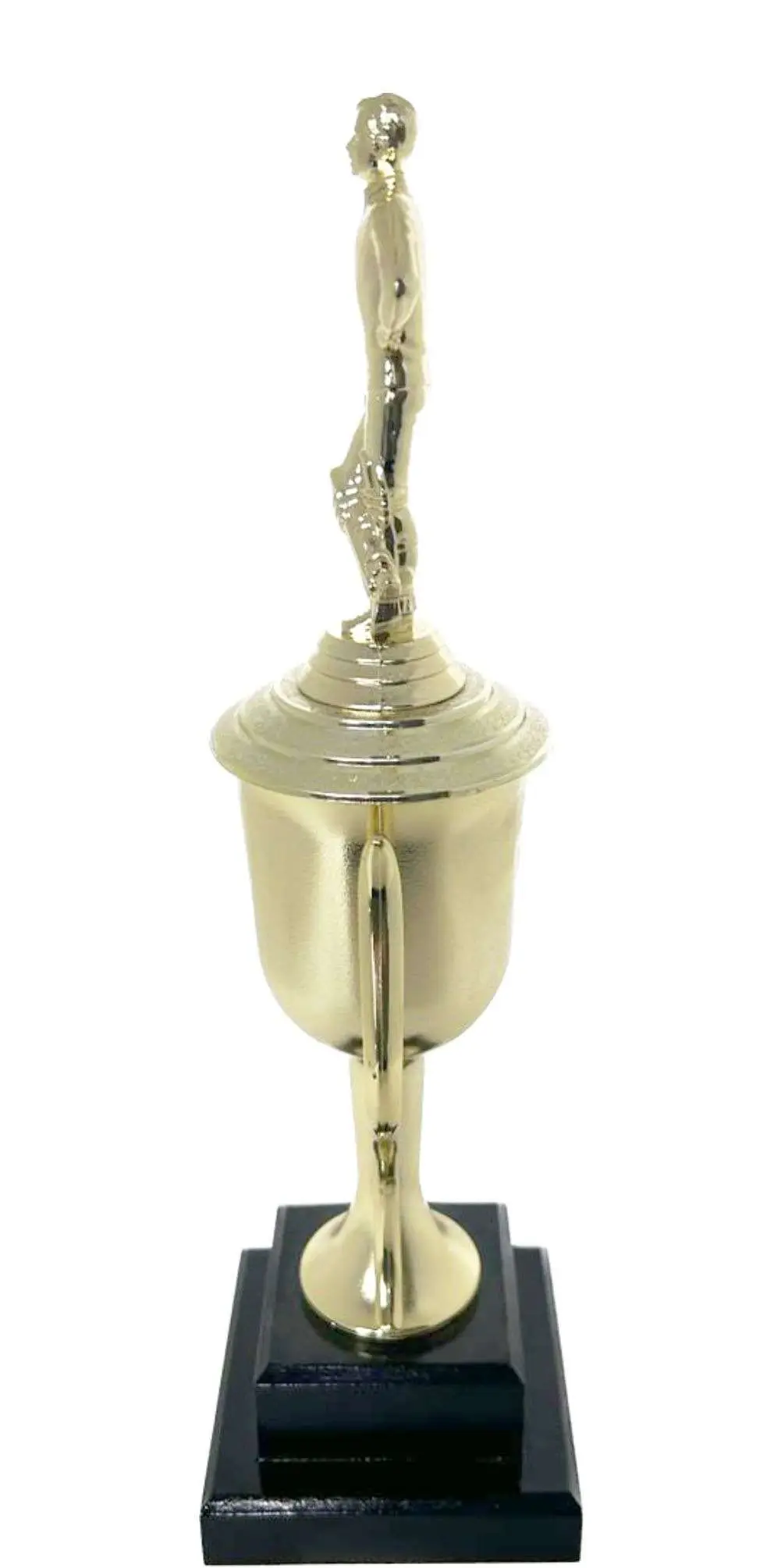 Cricket Batsman Standing Trophy 350mm