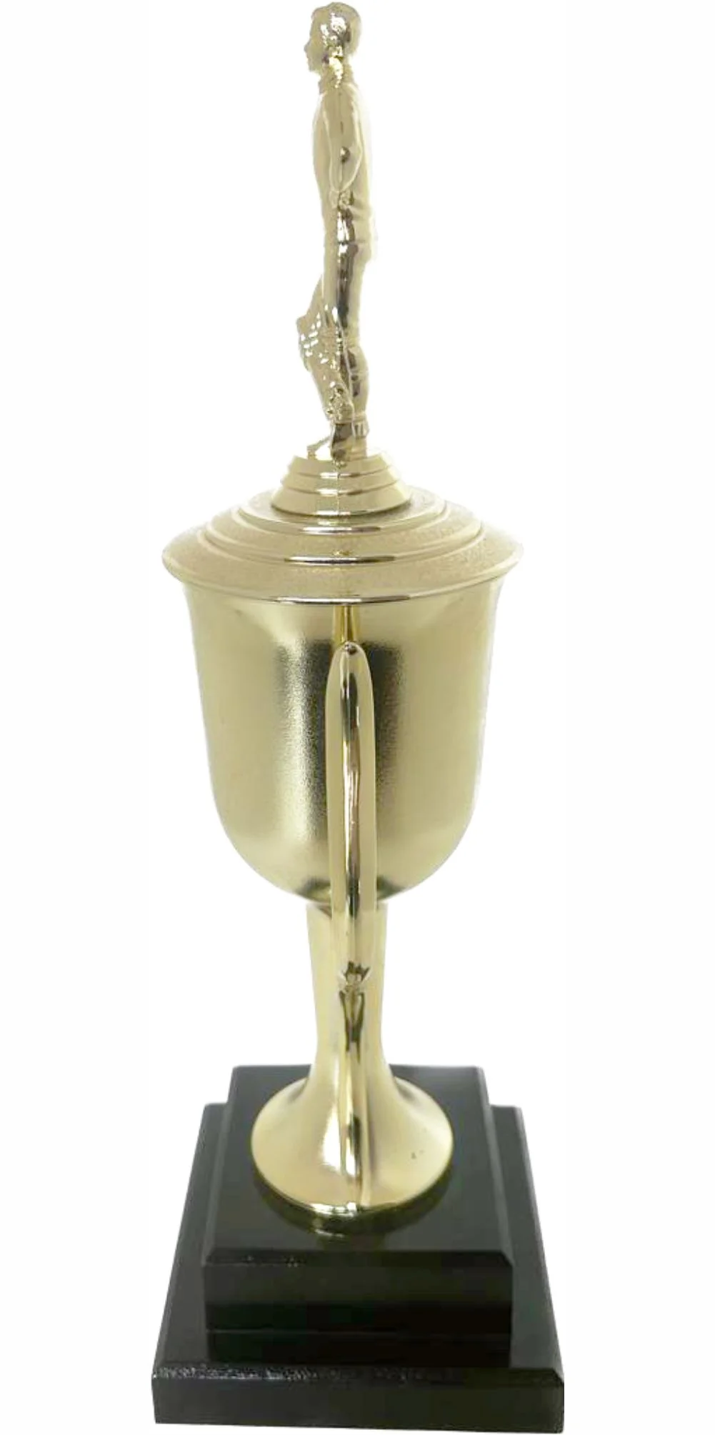 Cricket Batsman Standing Trophy 390mm