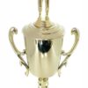 Judo Female Trophy 410mm