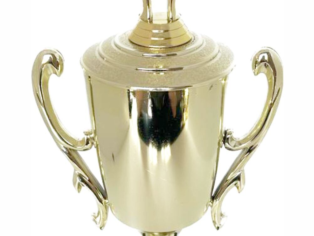 Judo Female Trophy 410mm
