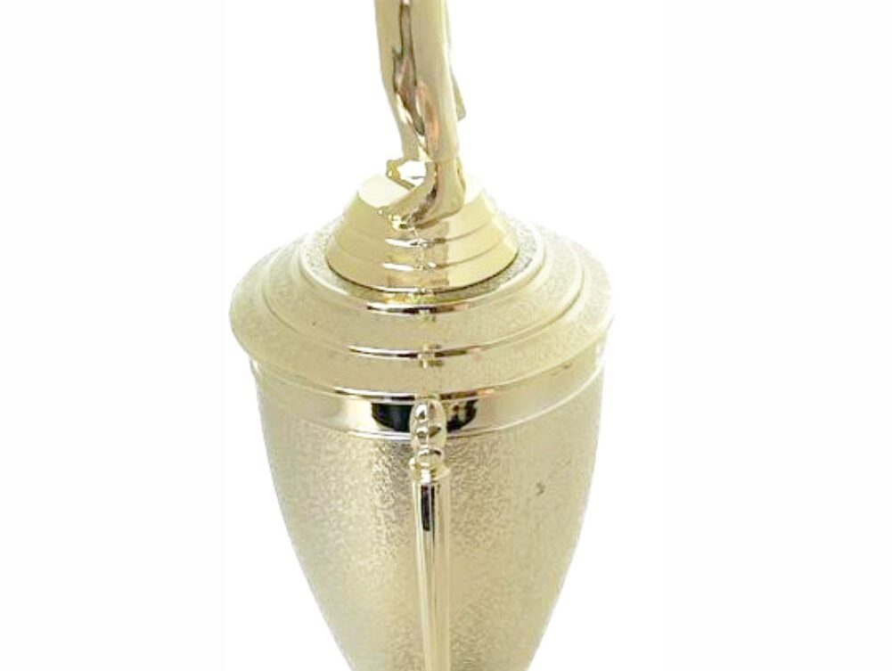 Judo Male Trophy 370mm