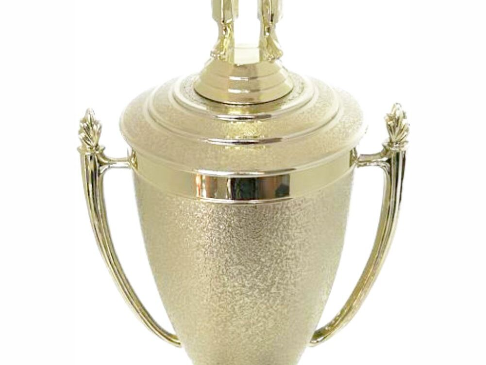 Judo Male Trophy 410mm