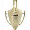 Judo Male Trophy 410mm
