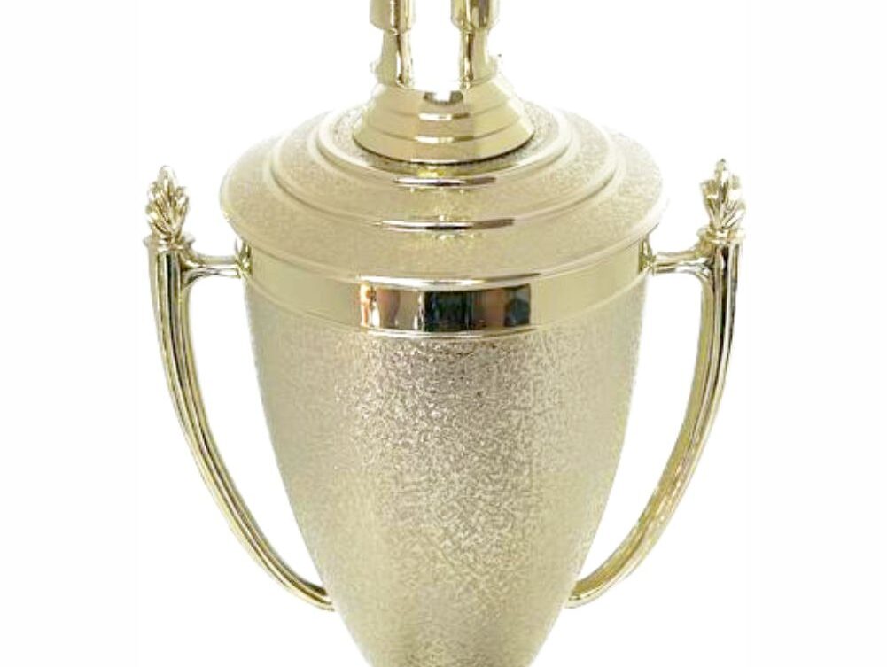Judo Male Trophy 410mm