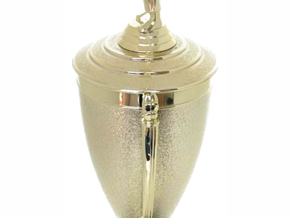 Judo Male Trophy 410mm