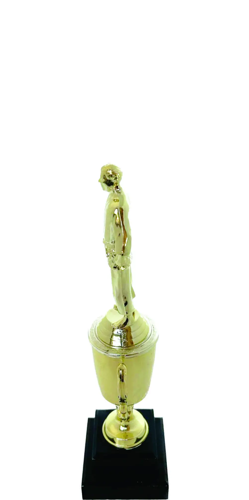 Judo Male Trophy 270mm