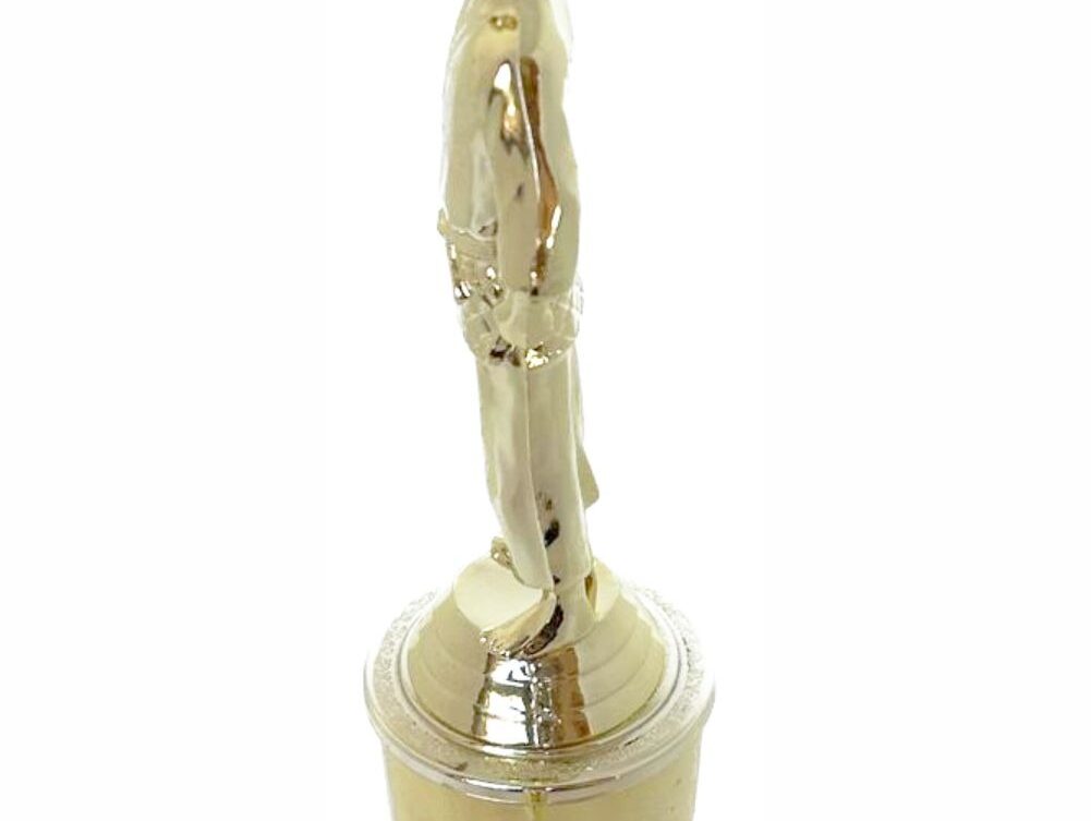 Judo Male Trophy 290mm