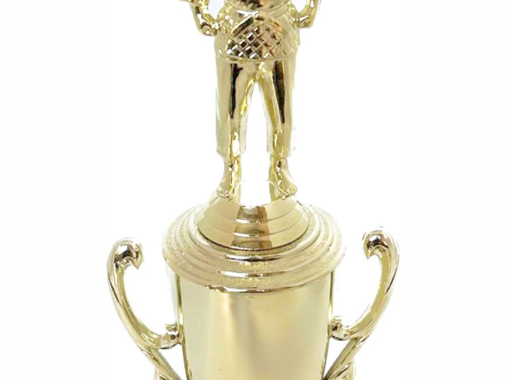 Judo Male Trophy 330mm