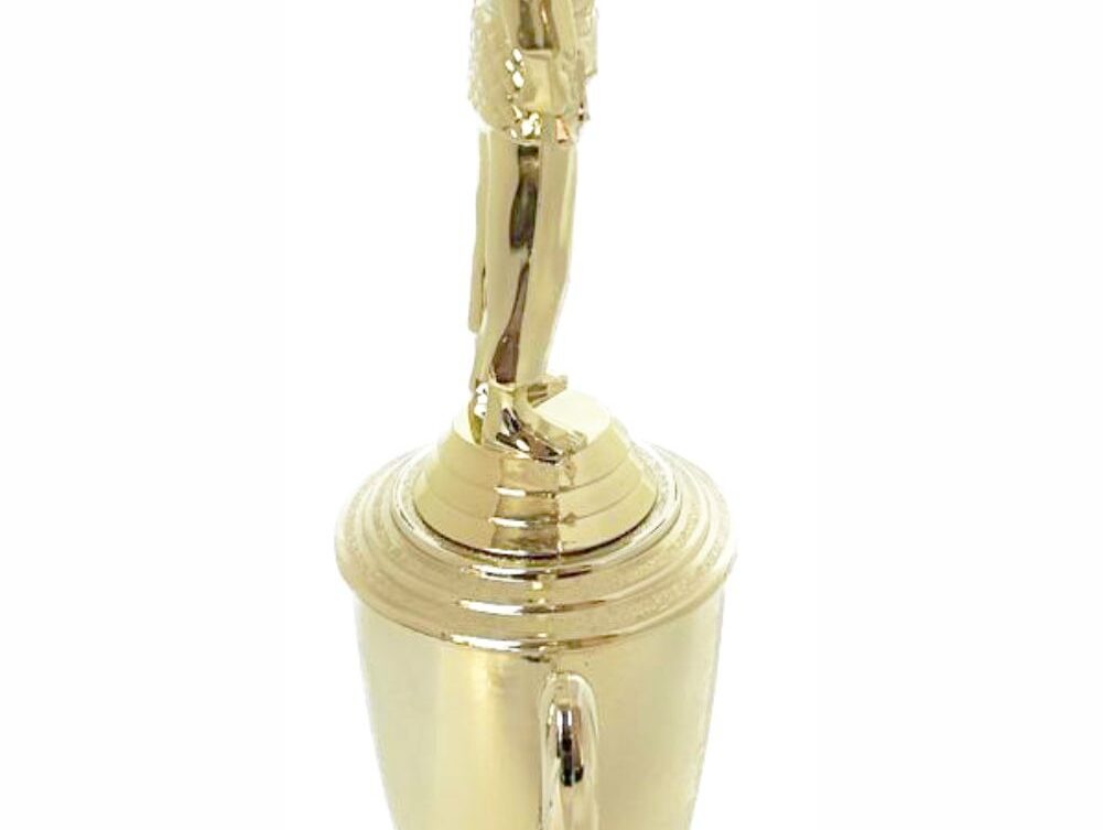 Judo Male Trophy 330mm