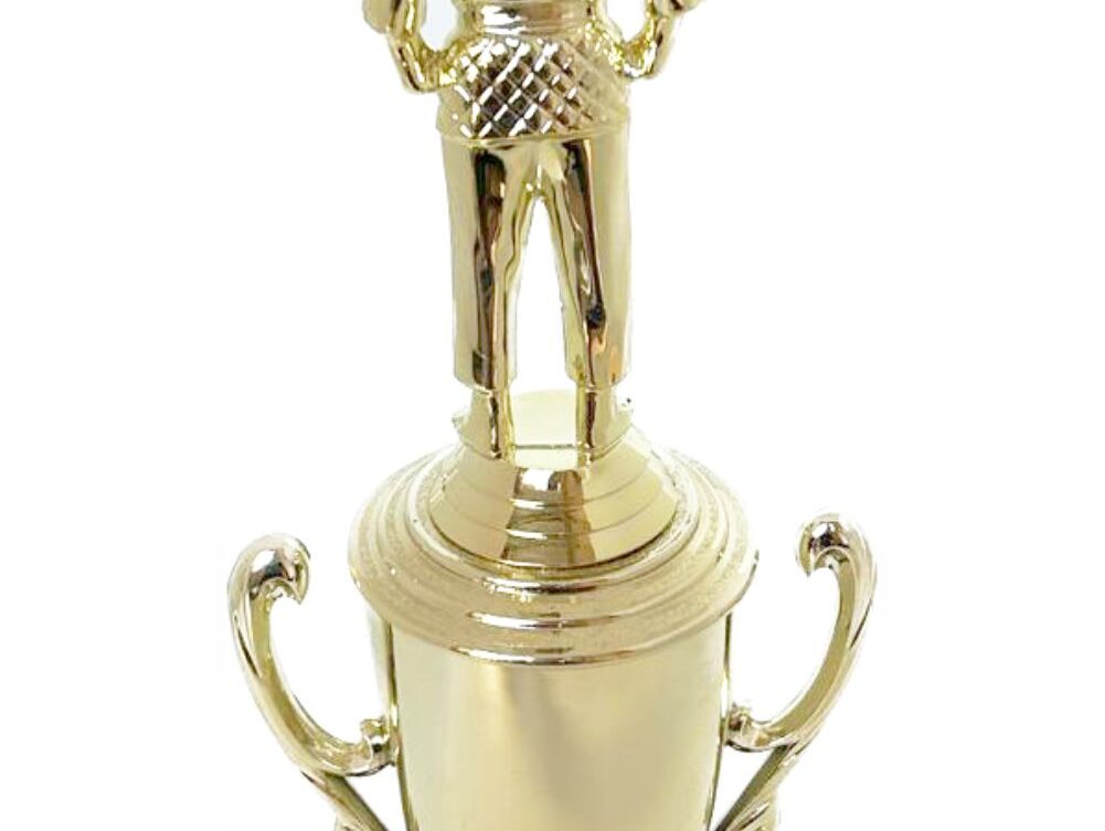 Judo Male Trophy 330mm