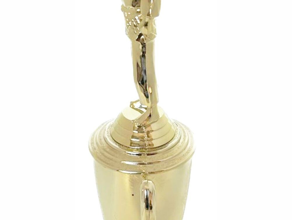 Judo Male Trophy 330mm