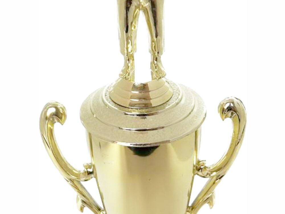 Judo Male Trophy 370mm