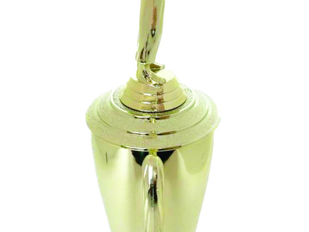 Judo Male Trophy 370mm