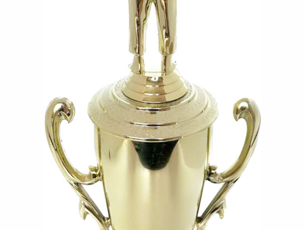 Judo Male Trophy 370mm