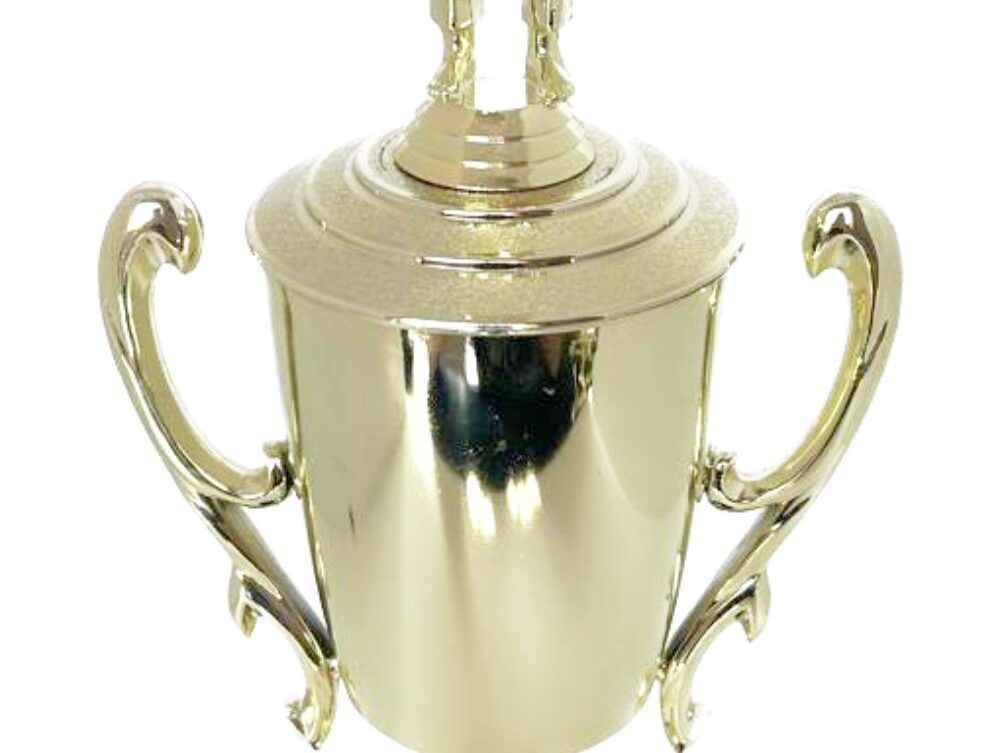 Judo Male Trophy 410mm