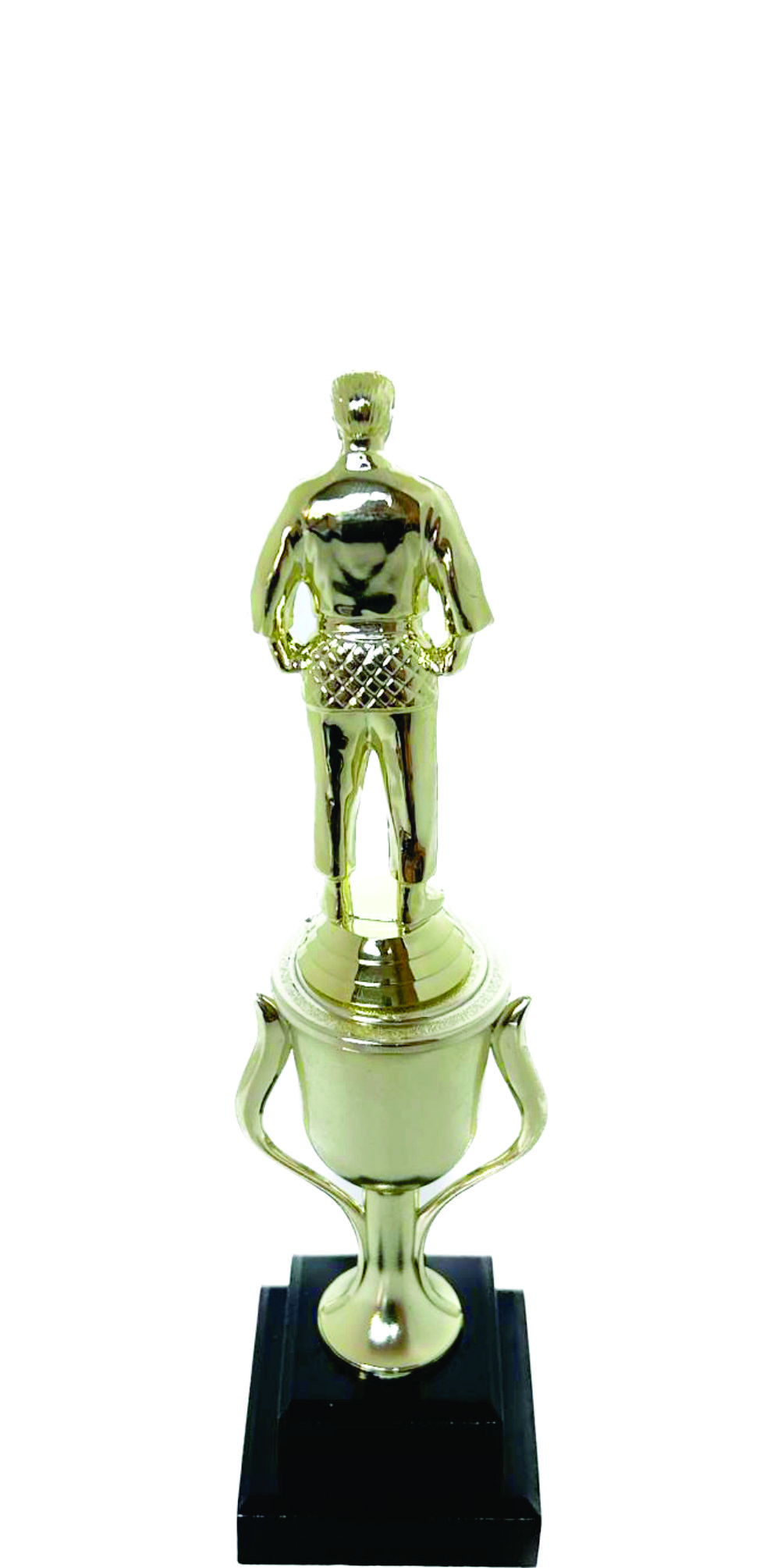 Judo Male Trophy 290mm