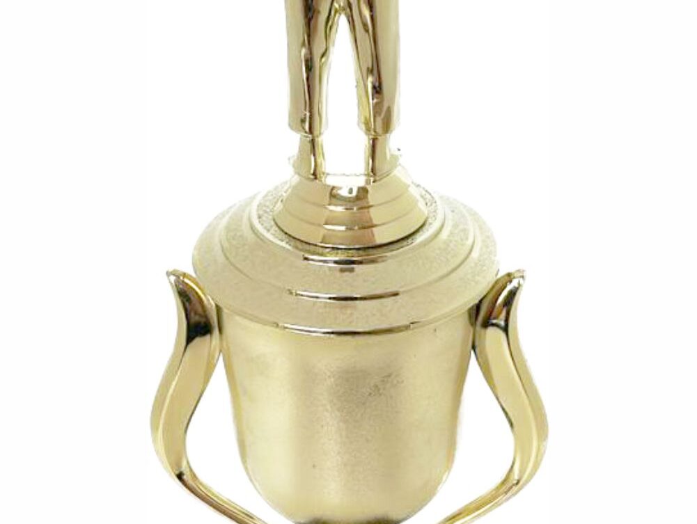 Judo Male Trophy 370mm