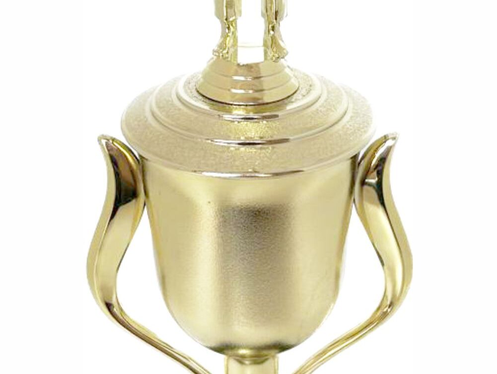 Judo Male Trophy 410mm
