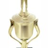 Judo Male Trophy 410mm