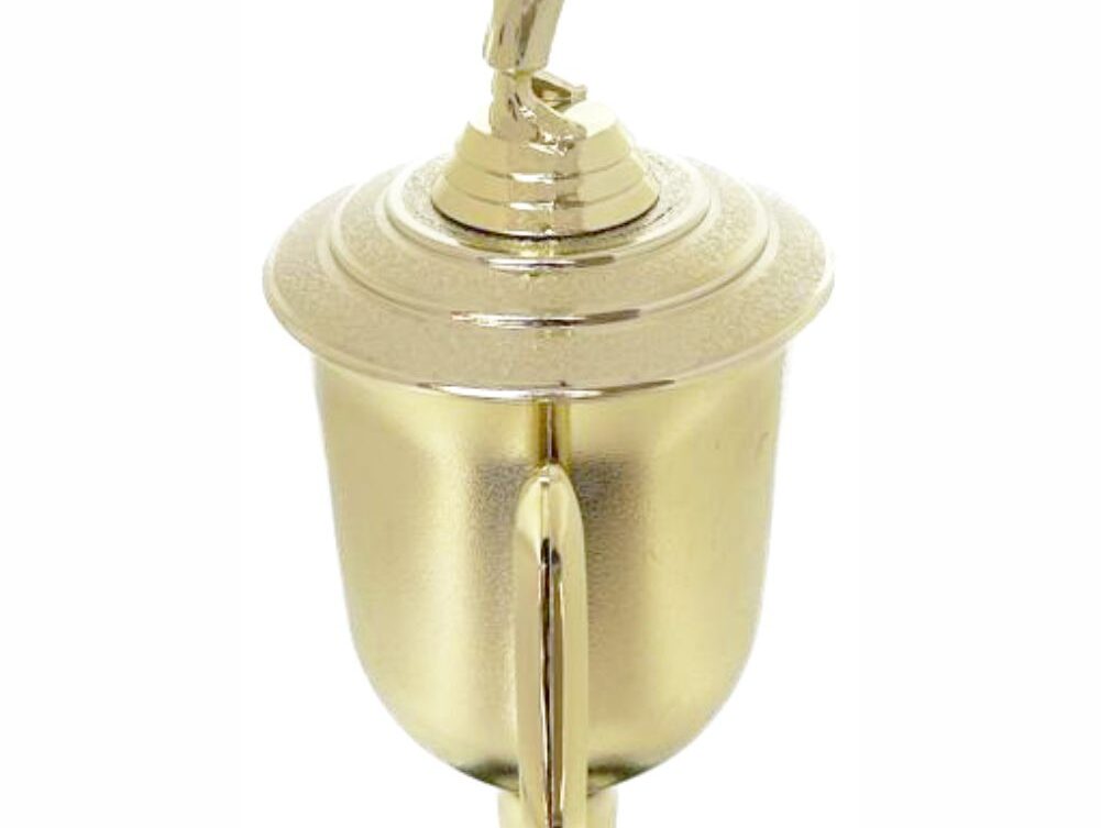 Judo Male Trophy 410mm