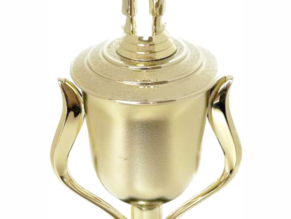 Judo Male Trophy 410mm