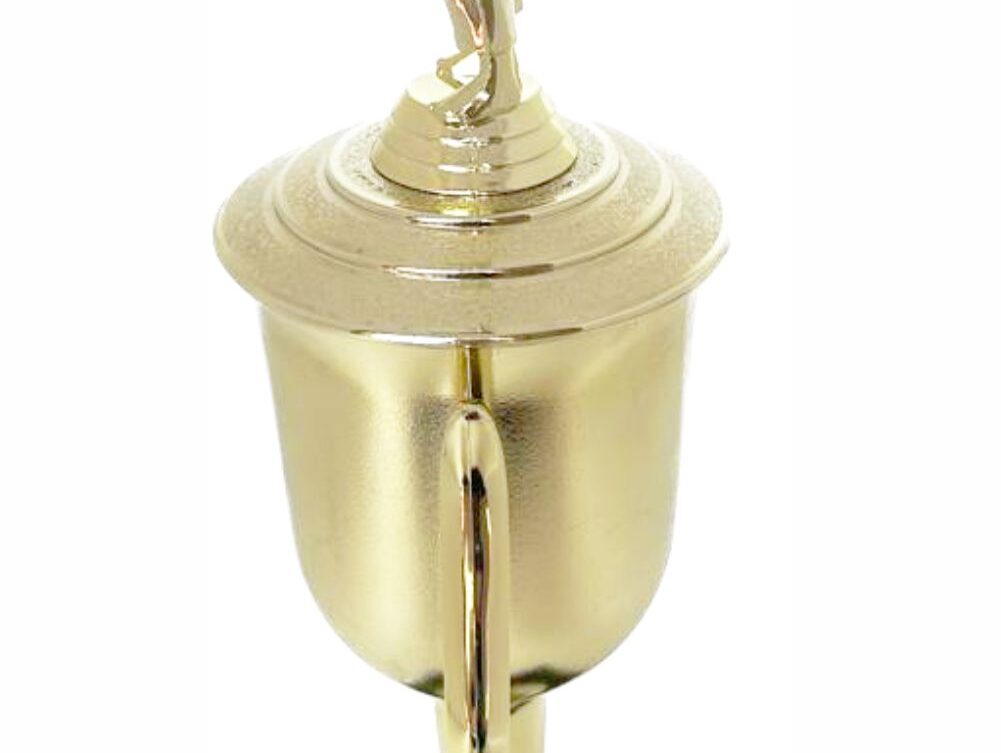 Judo Male Trophy 410mm