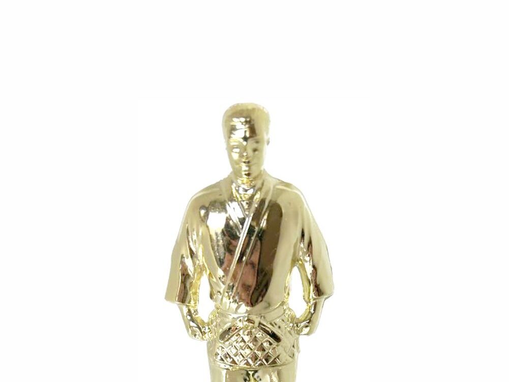 Judo Male Trophy 180mm