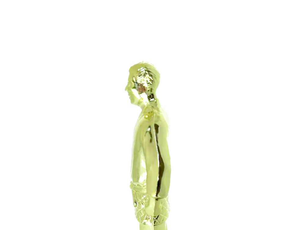 Judo Male Trophy 180mm