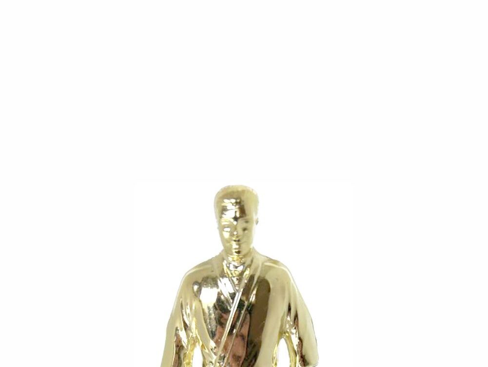 Judo Male Trophy 155mm