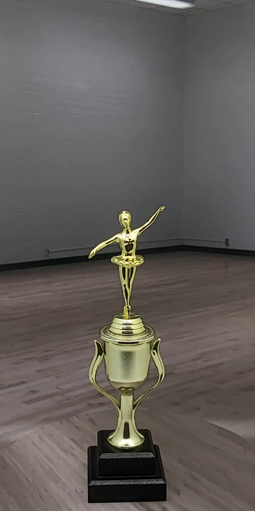 Ballet Trophy 290mm