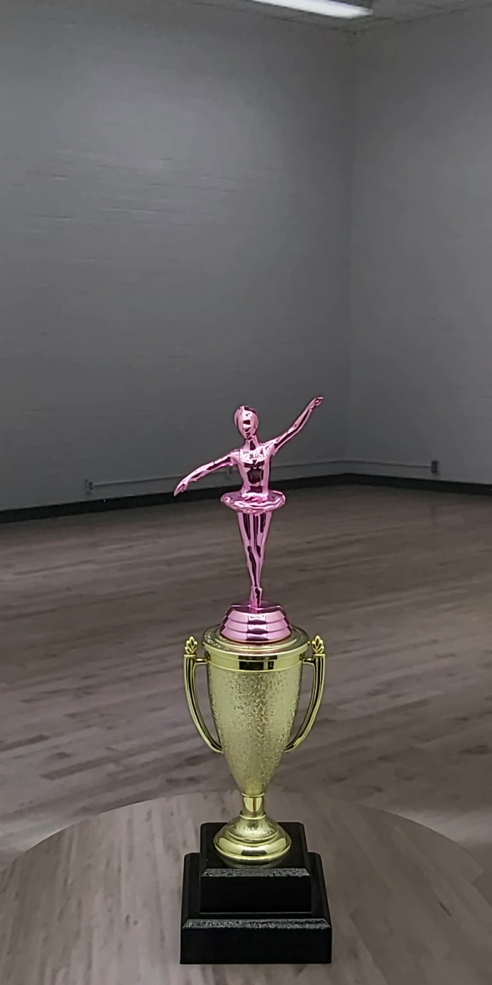 Ballet Trophy PINK 290mm