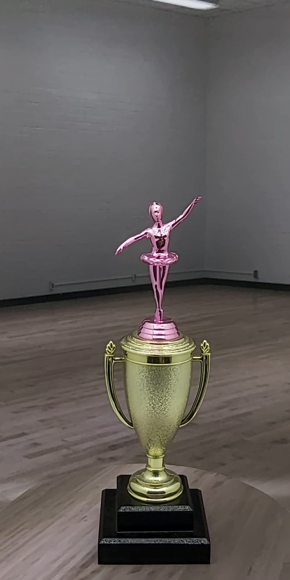 Ballet Trophy PINK 325mm