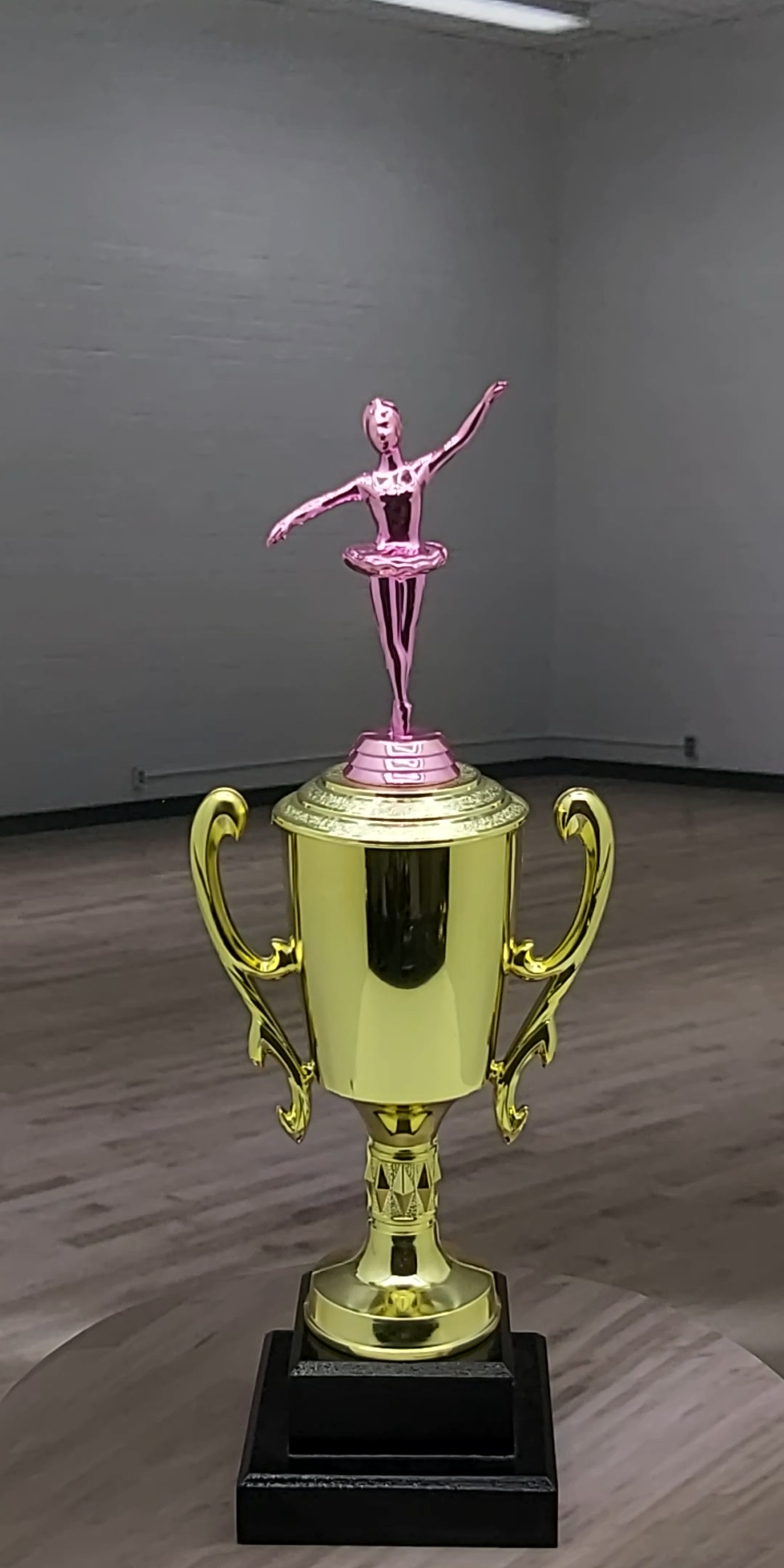 Ballet Trophy PINK 365mm