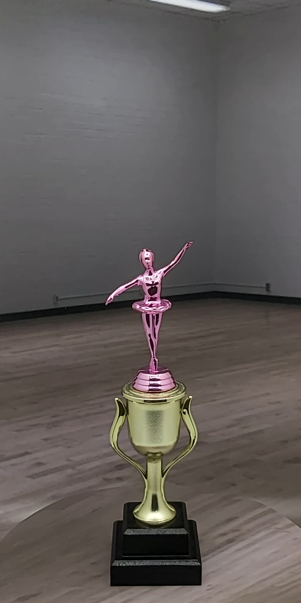 Ballet Trophy PINK 290mm