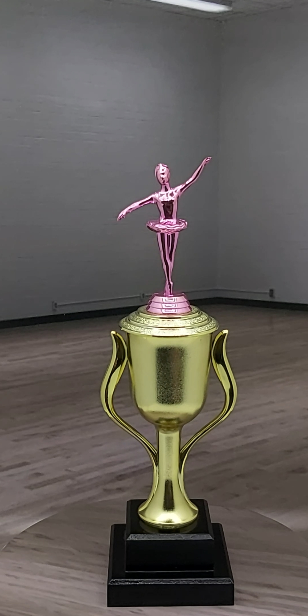 Ballet Trophy PINK 365mm