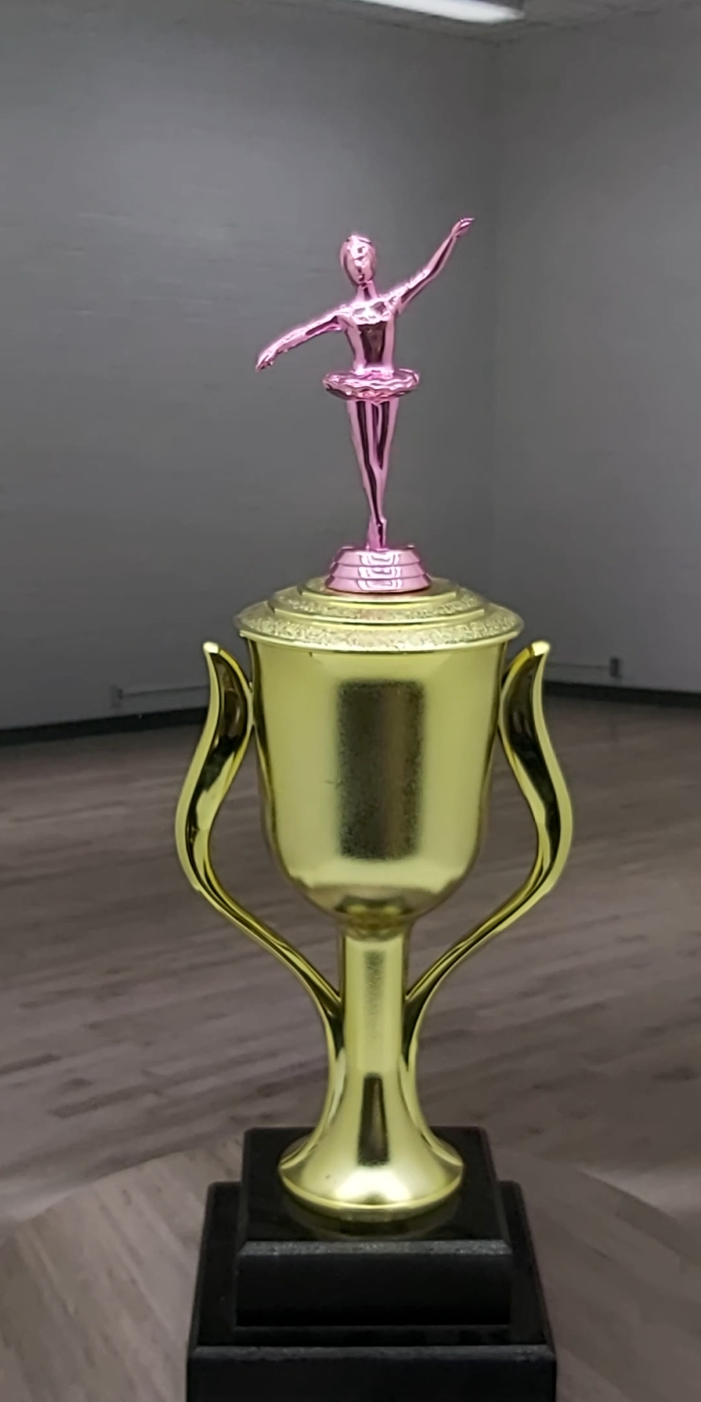 Ballet Trophy PINK 405mm