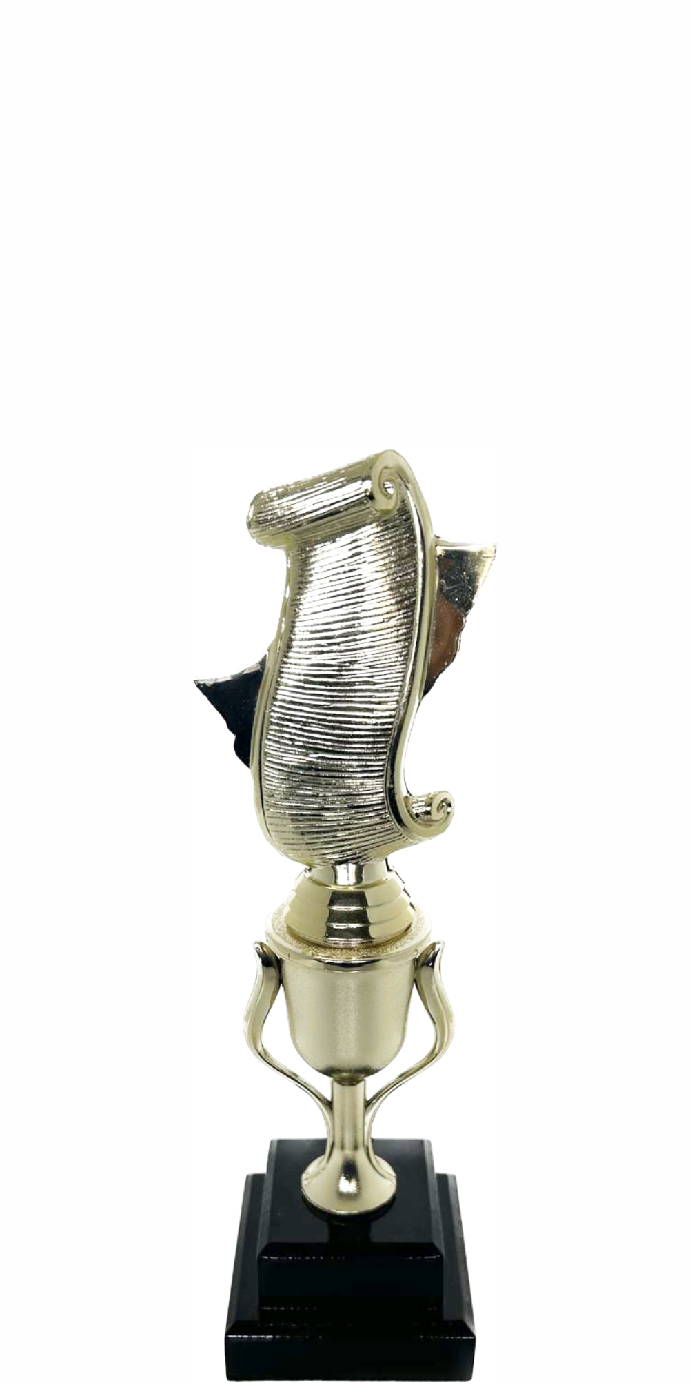 Drama Trophy 255mm