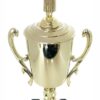 Graduate Male Trophy 405mm