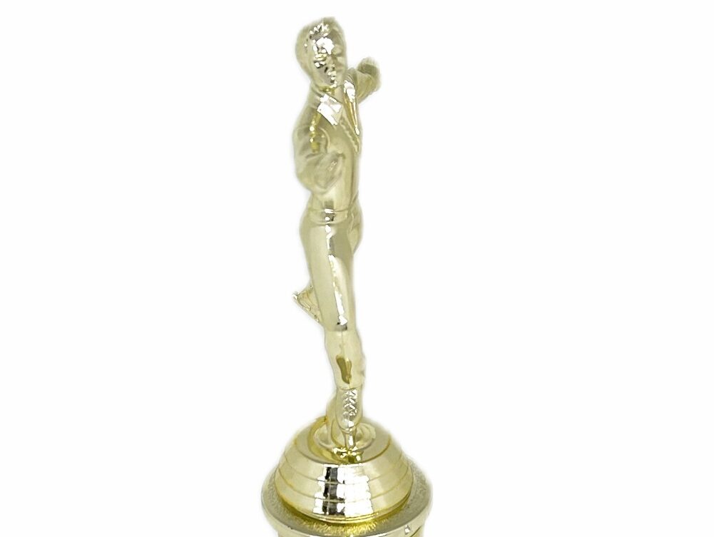 Ice Skater Male Trophy 280mm