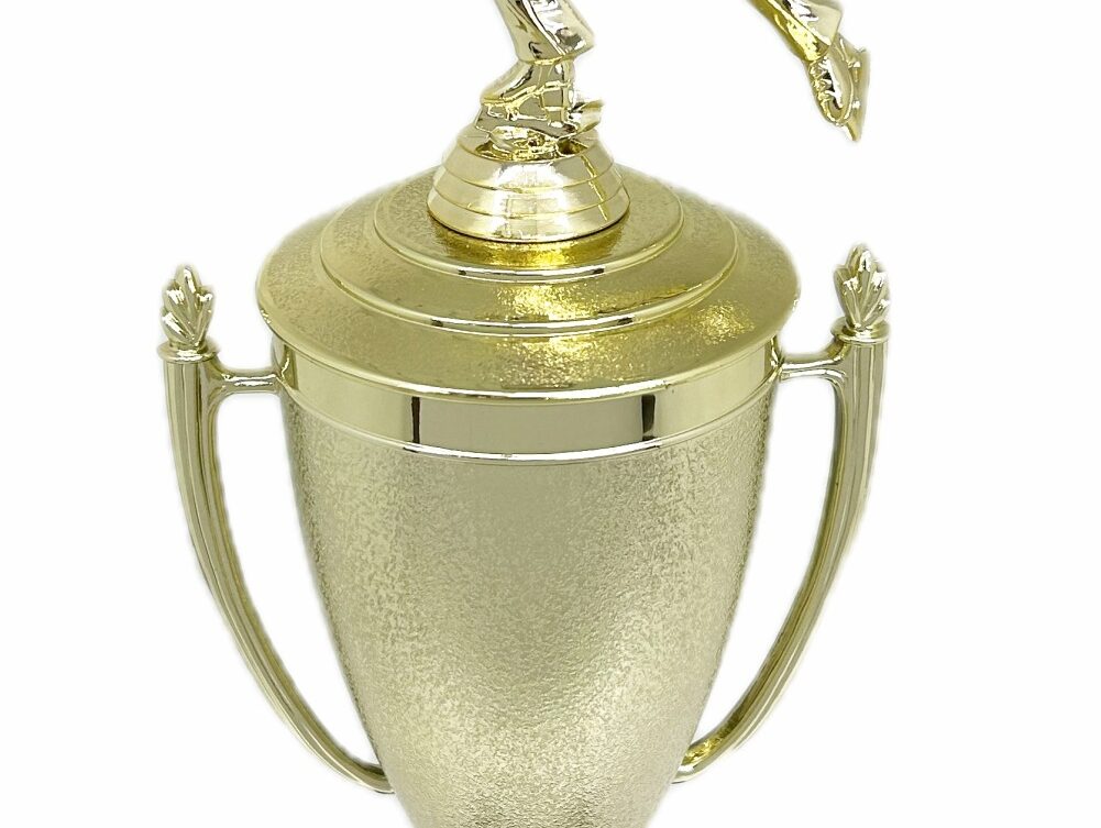 Ice Skater Male Trophy 380mm