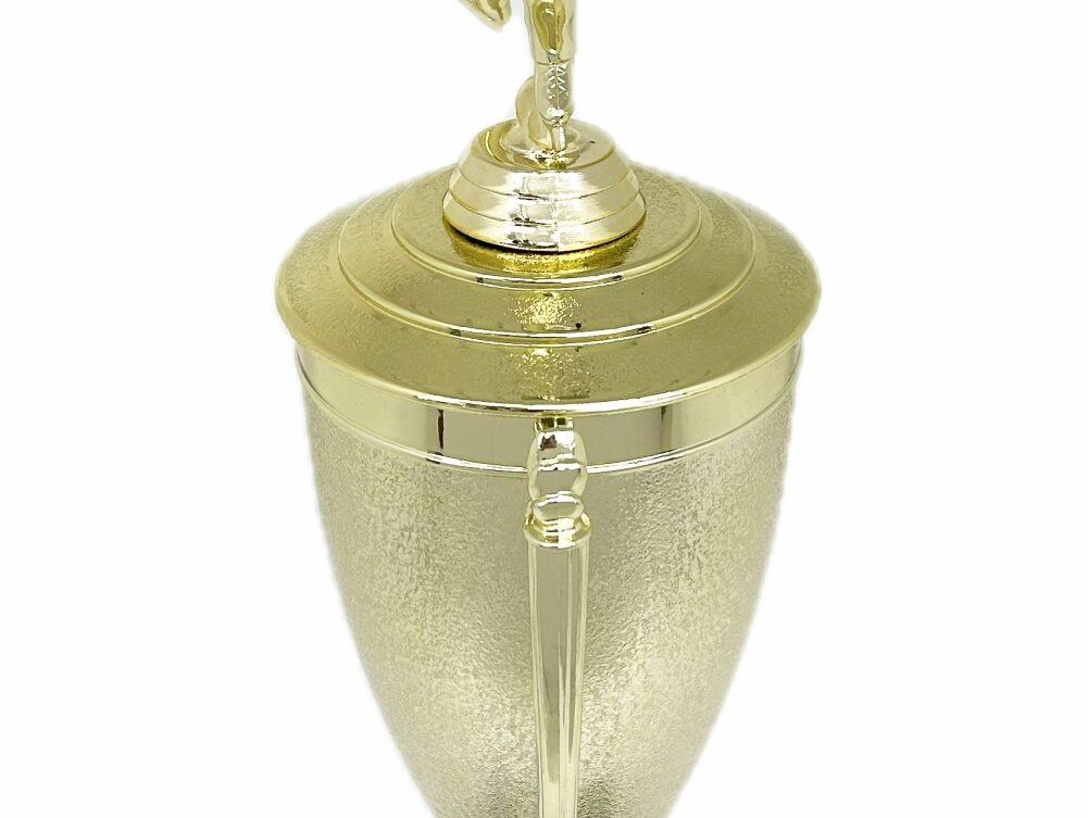 Ice Skater Male Trophy 380mm
