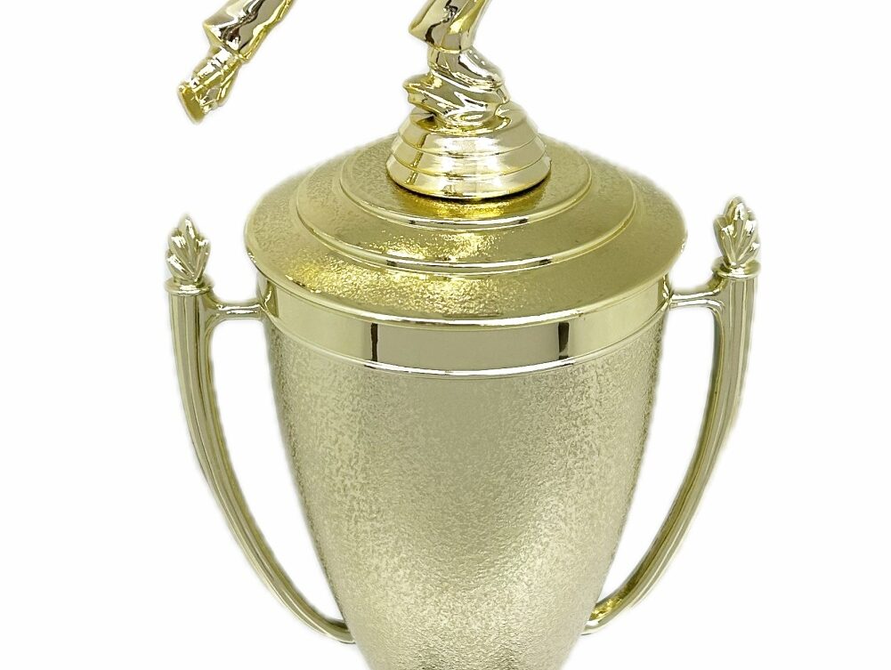Ice Skater Male Trophy 380mm