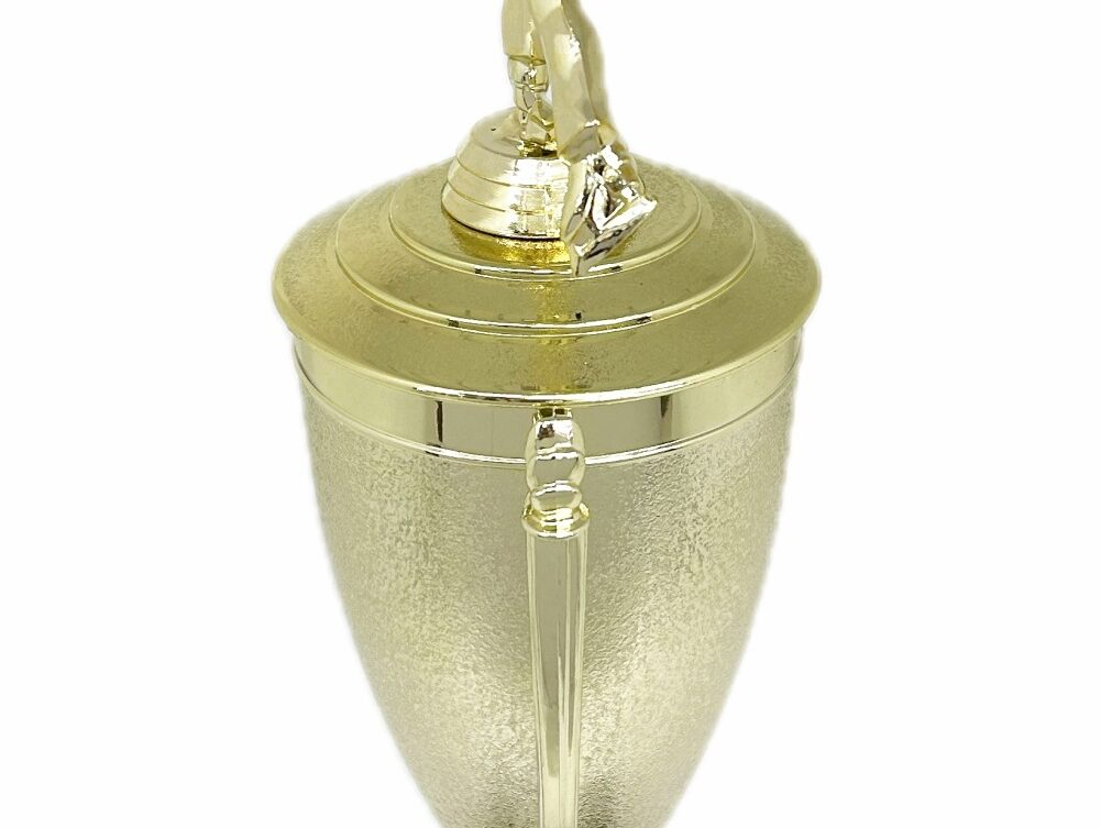 Ice Skater Male Trophy 380mm