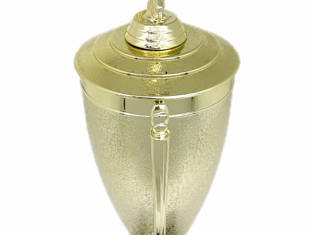 Ice Skater Male Trophy 420mm