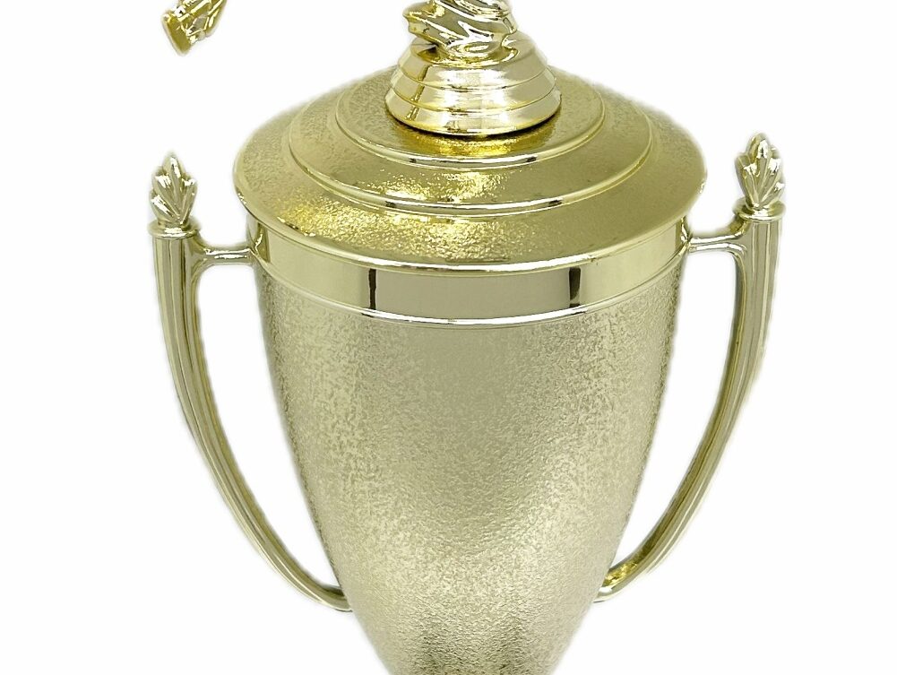 Ice Skater Male Trophy 420mm