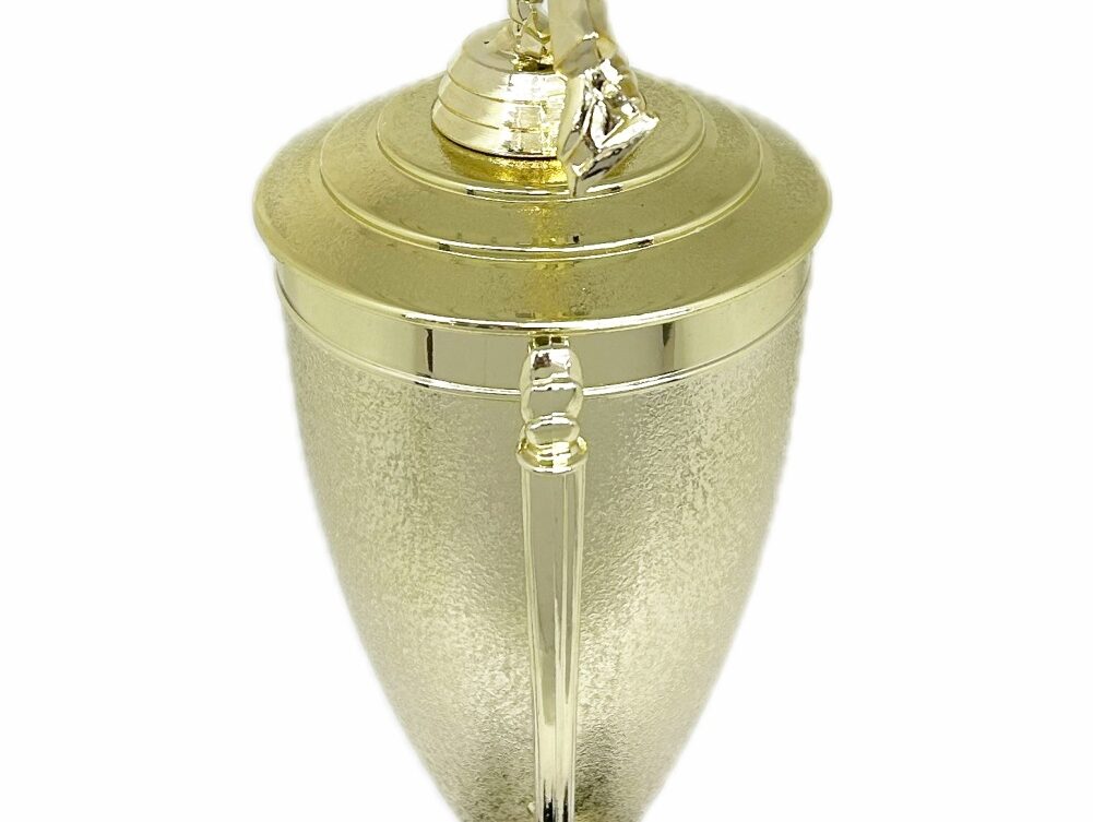 Ice Skater Male Trophy 420mm